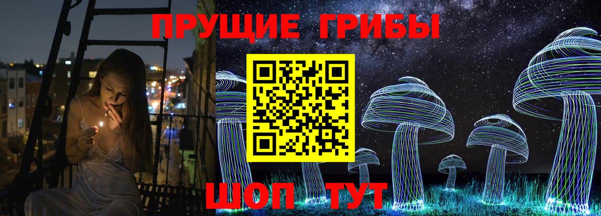 Галлюциногенные грибы Psilocybine cubensis Дагестанские Огни