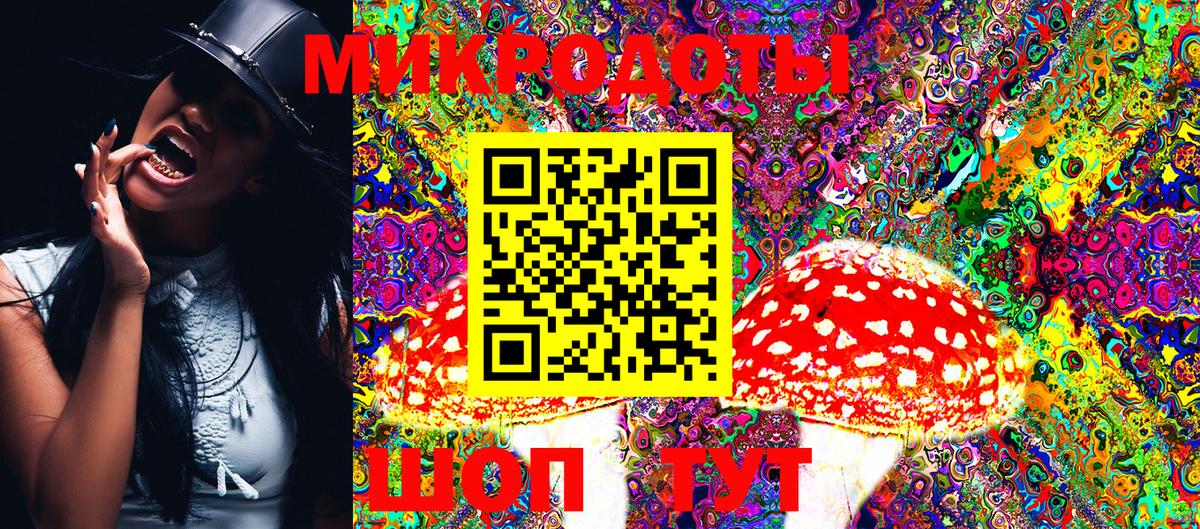 Псилоцибиновые грибы MAGIC MUSHROOMS  Вход с VPN  Дагестанские Огни 